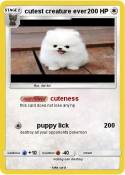 cutest creature
