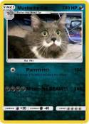 Mustache Cat