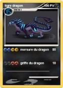 tigre dragon