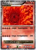 fleuria