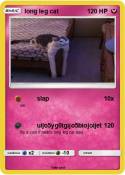 long leg cat