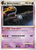 Mothra female 2