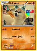 MLG doge