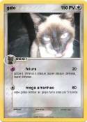 gato