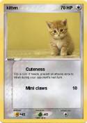 kitten