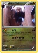 BULL DOG