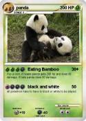 panda