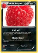 MEGA RaspberryE