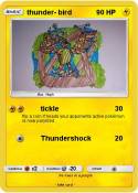 thunder- bird
