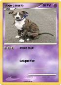 dogo canario