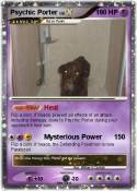 Psychic Porter