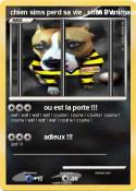 chien sims perd