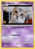 chat cr@quant