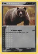 Bear