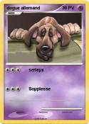 dogue allemand