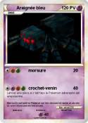 Araignée bleu