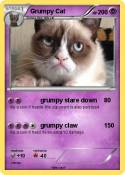 Grumpy Cat