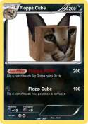 Floppa Cube