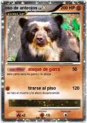 oso de anteojos