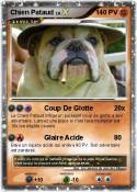 Chien Pataud