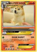 SUPER DOGE