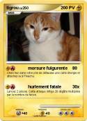 tigrou