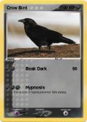 Crow Bird
