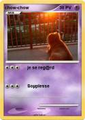 chow-chow