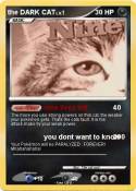 the DARK CAT