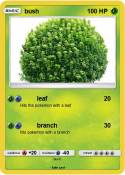 bush