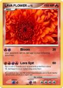 LAVA FLOWER