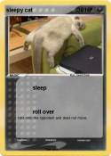 sleepy cat