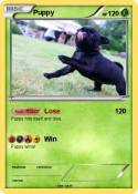 Puppy