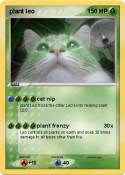 plant leo