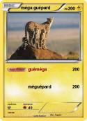 méga guépard
