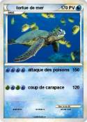 tortue de mer