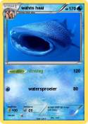 walvis haai