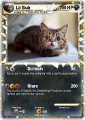 Lil Bub