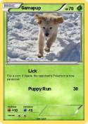 Samapup