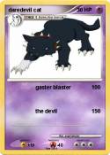 daredevil cat