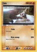Cats