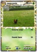 mega poule