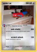 spider cat