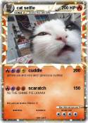 cat selfie
