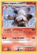 chaton mignon