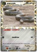 anaconda