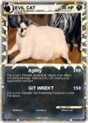 EVIL CAT