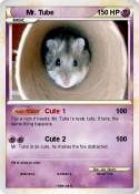 Mr. Tube