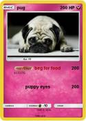 pug