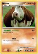 Fat cow
